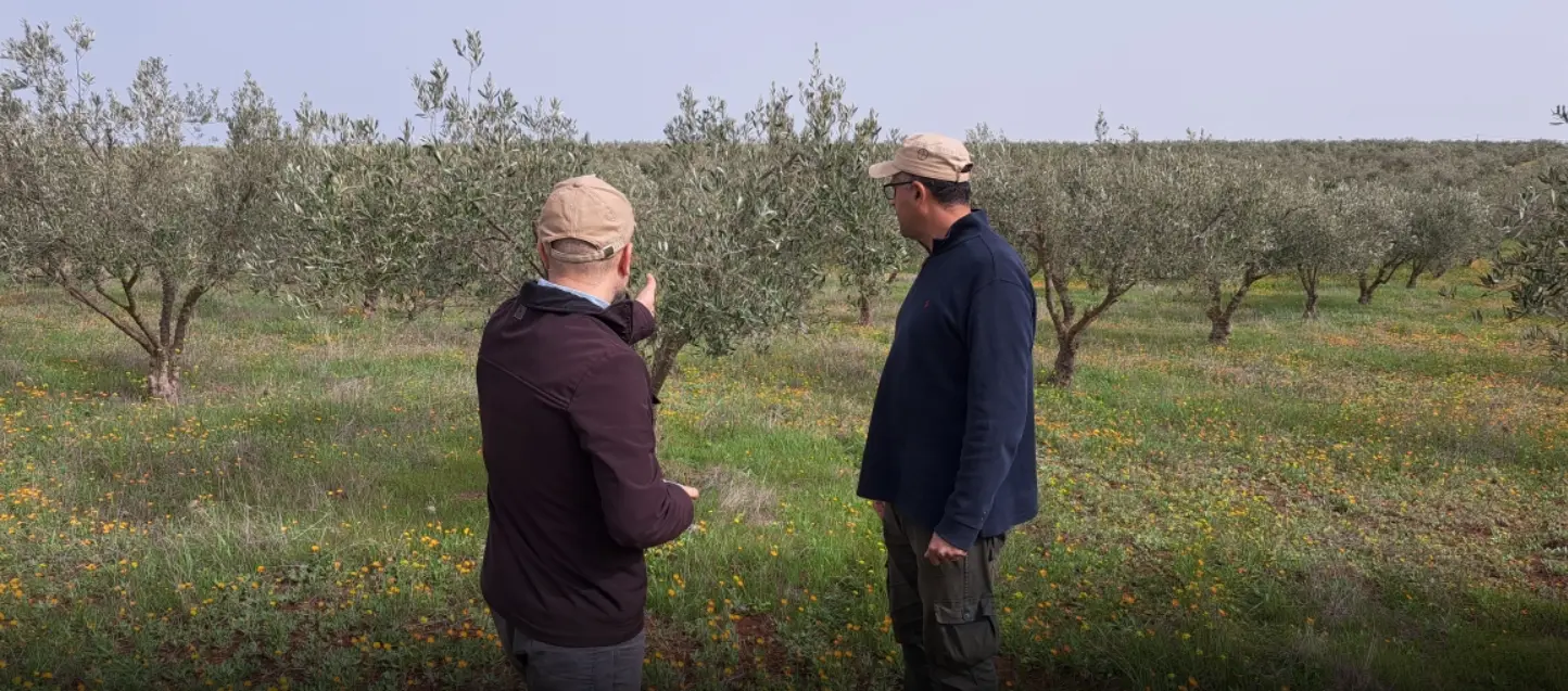 Youth in Agriculture